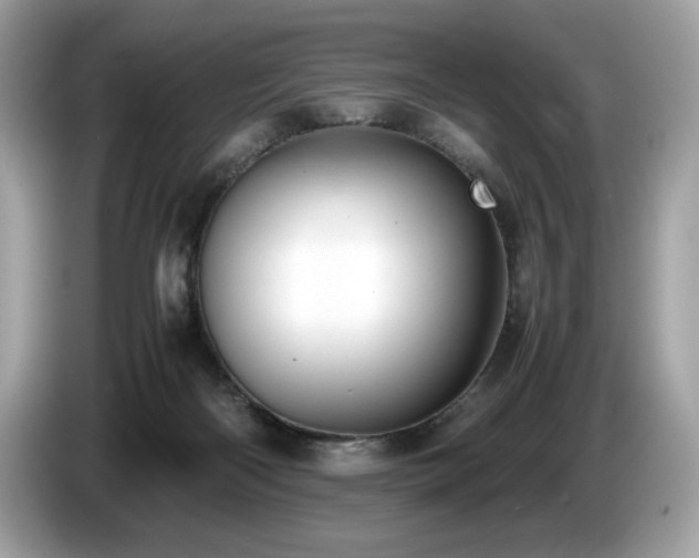 X0000087560122200704271233