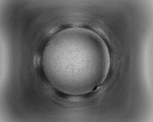 X0000087560123200704271233