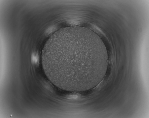 X0000087560124200704271233