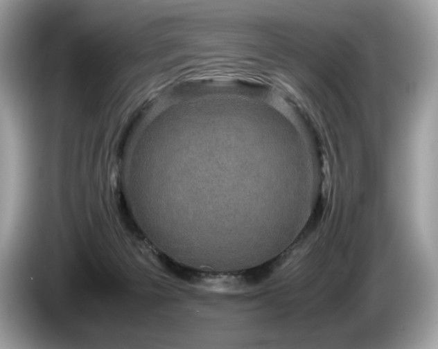 X0000087560125200704271233