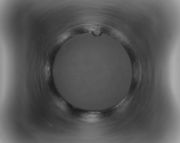 X0000087560128200704271233