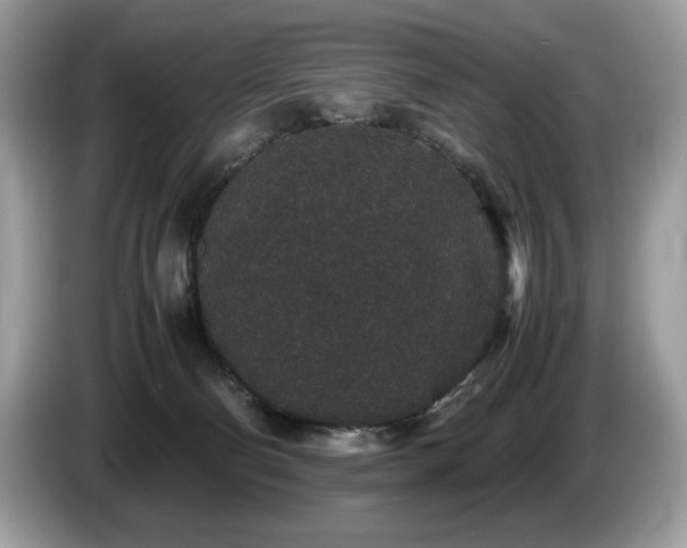 X0000087560130200704271233