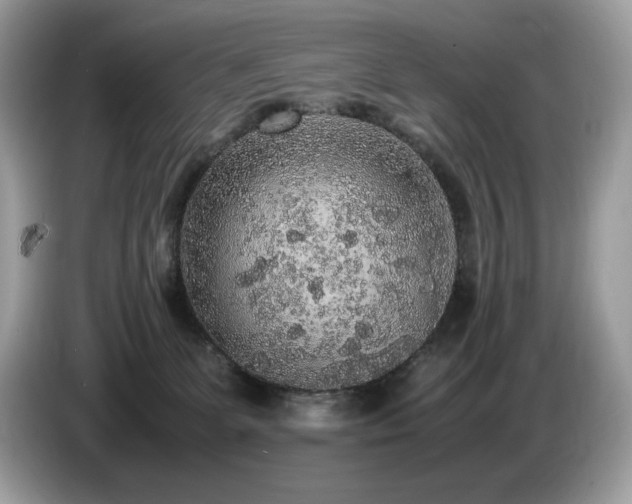 X0000087560131200704271233