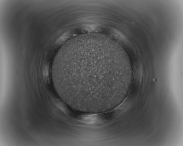 X0000087560132200704271233