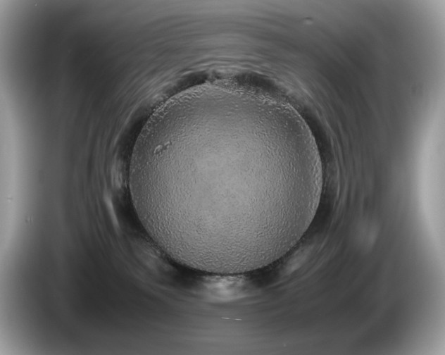 X0000087560135200704271233