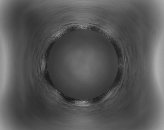 X0000087560139200704271233