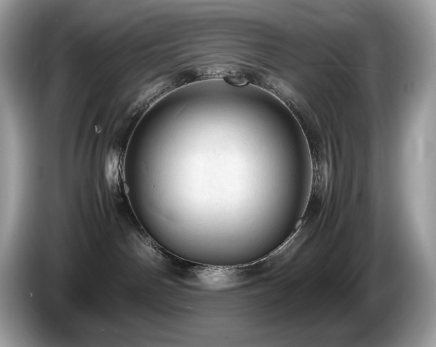 X0000087560142200704271233