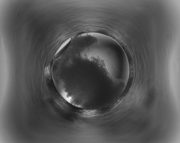 X0000087560143200704271233