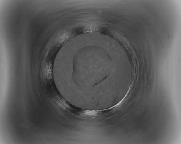 X0000087560144200704271233