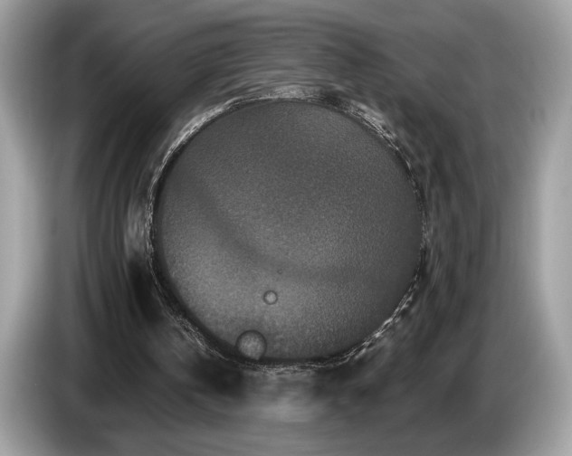 X0000087560146200704271232