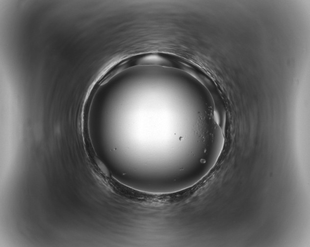 X0000087560148200704271232