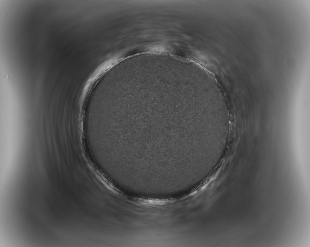 X0000087560149200704271232