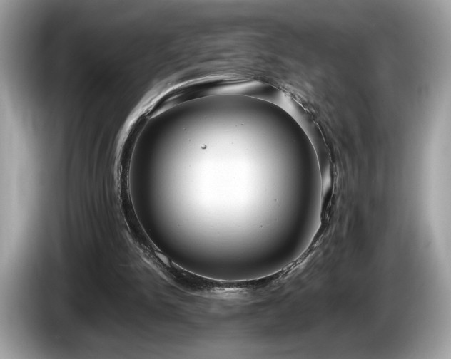 X0000087560150200704271232