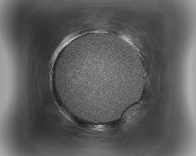 X0000087560151200704271232