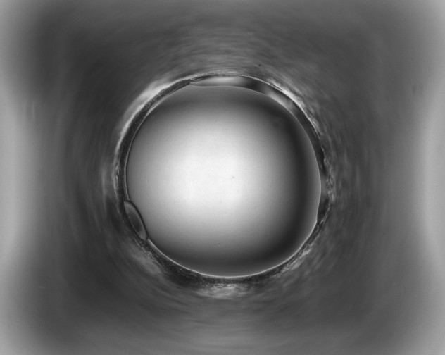 X0000087560152200704271232