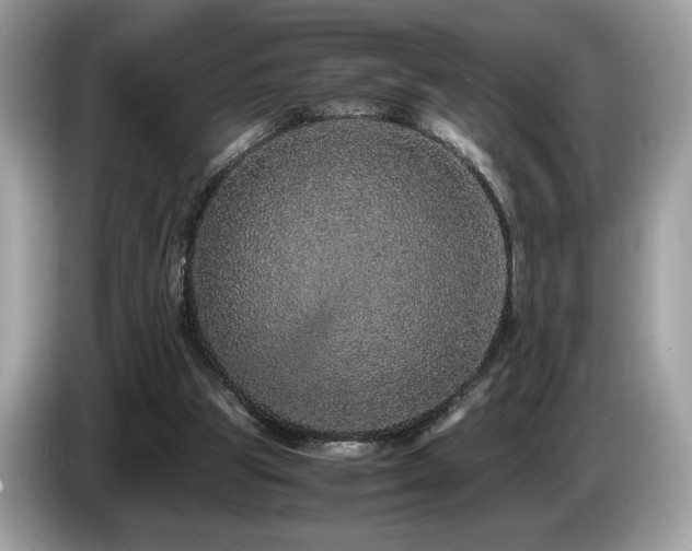 X0000087560153200704271232