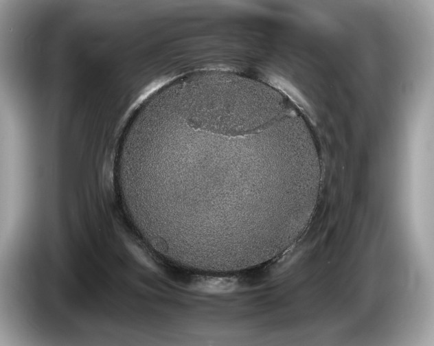 X0000087560155200704271232