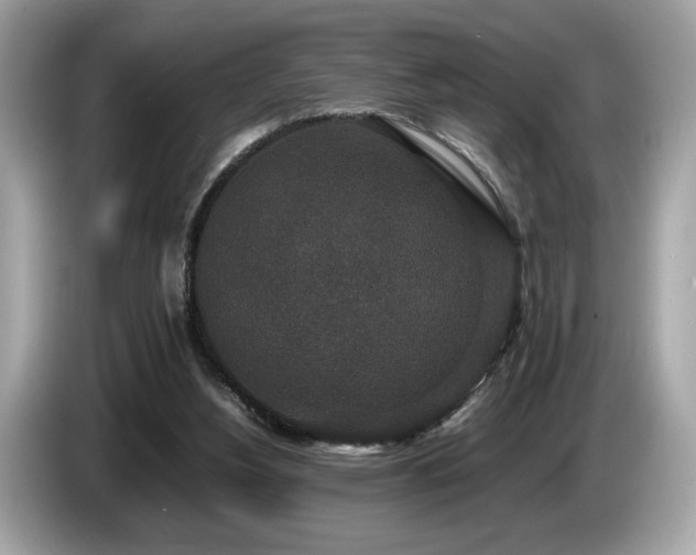 X0000087560156200704271232