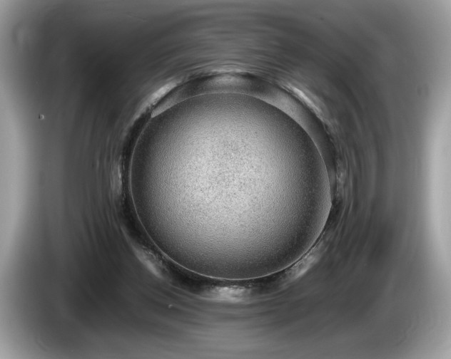 X0000087560158200704271232