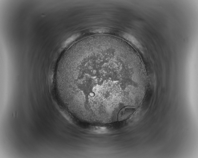 X0000087560159200704271232