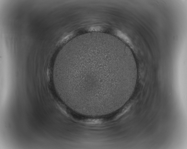 X0000087560161200704271232