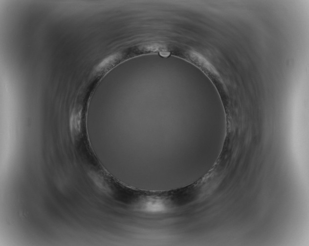 X0000087560163200704271232
