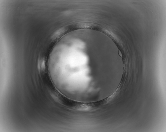 X0000087560166200704271232