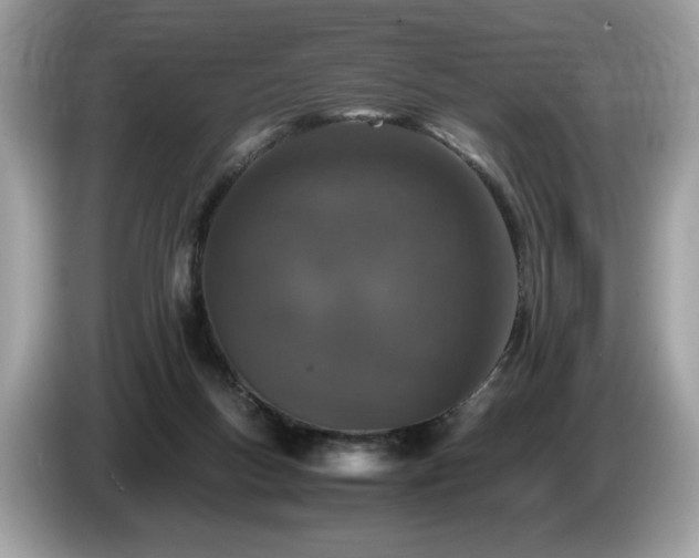 X0000087560167200704271232