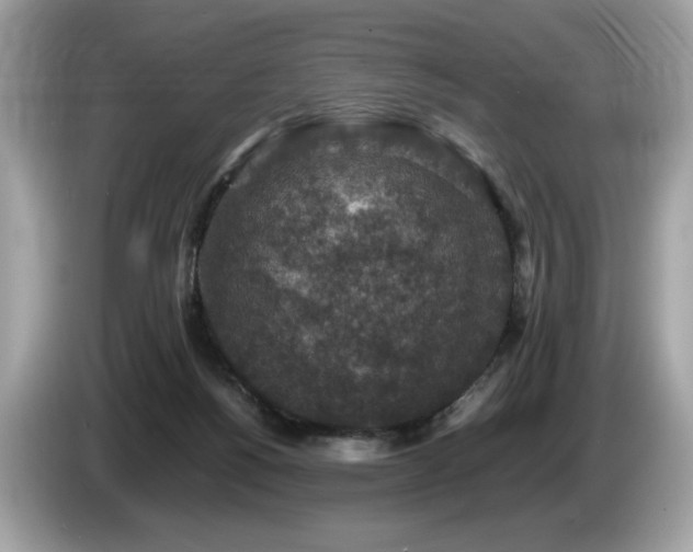 X0000087560168200704271232