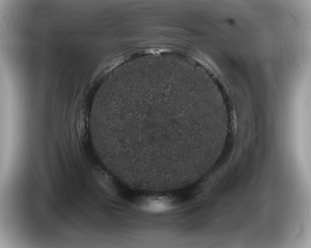 X0000087560169200704271232