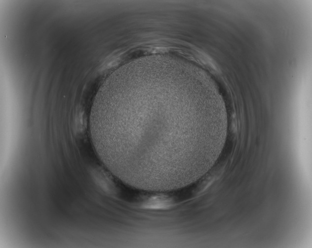 X0000087560173200704271232