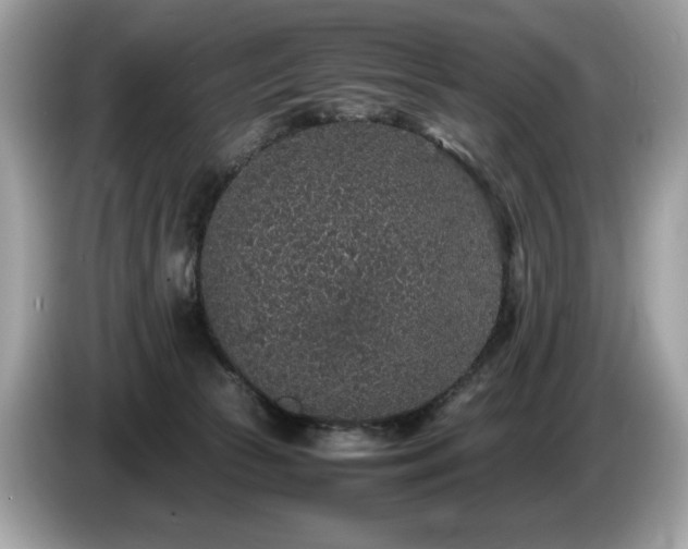 X0000087560177200704271232