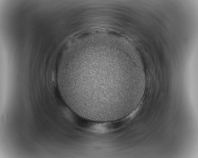 X0000087560178200704271232