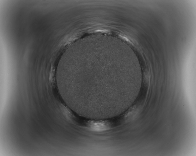 X0000087560181200704271232