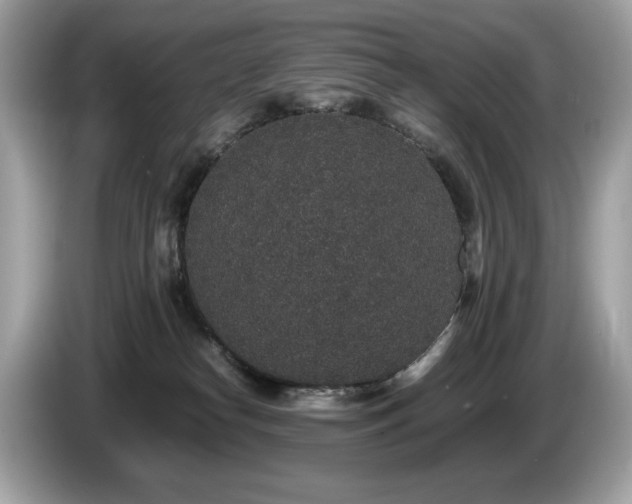 X0000087560182200704271232