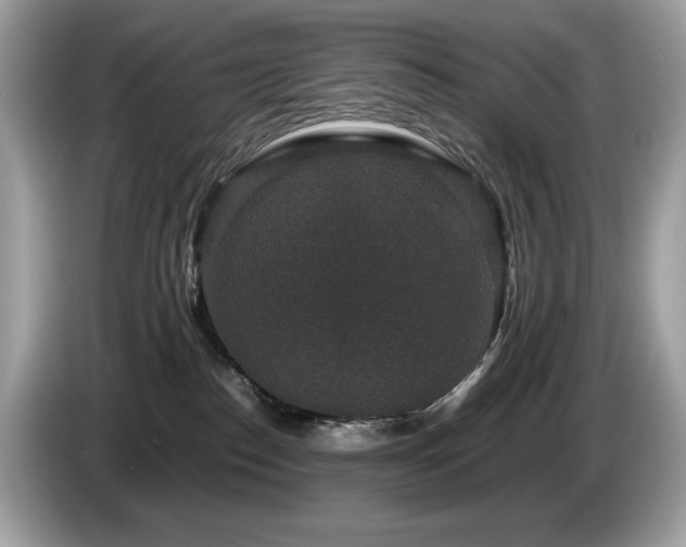 X0000087560186200704271232