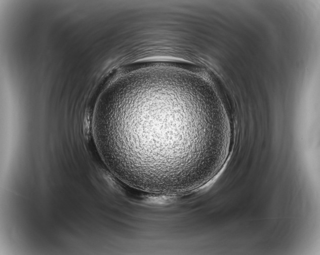 X0000087560190200704271233