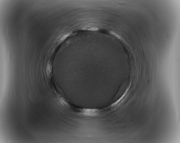 X0000087560192200704271233