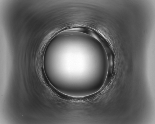 X0000087560193200704271232