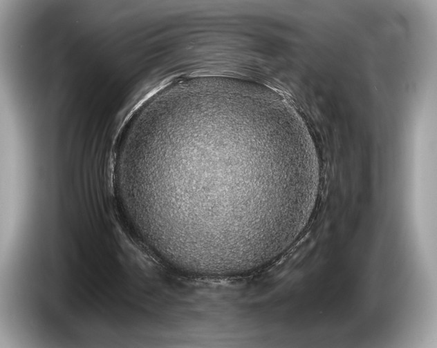 X0000087560194200704271232