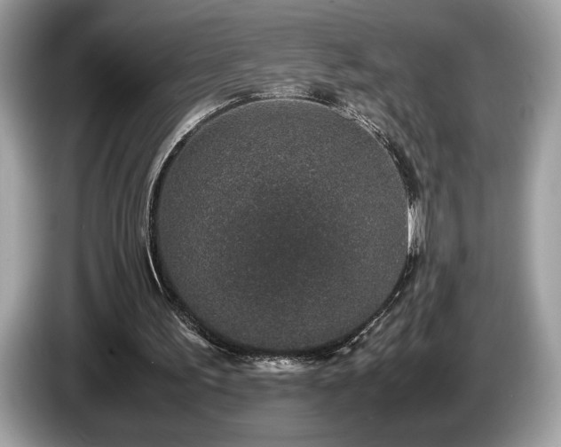 X0000087560195200704271232