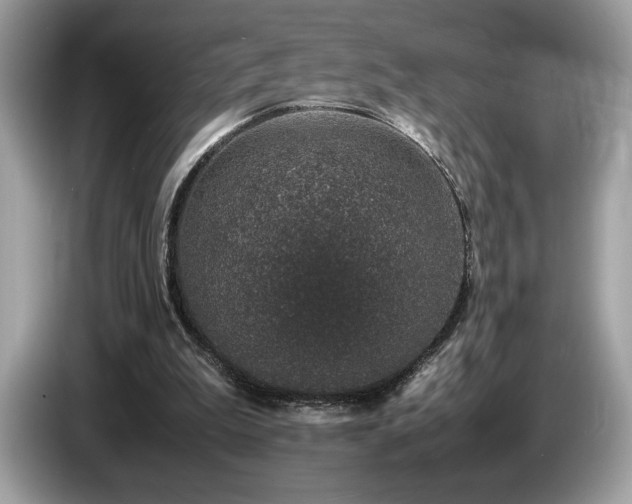 X0000087560199200704271232