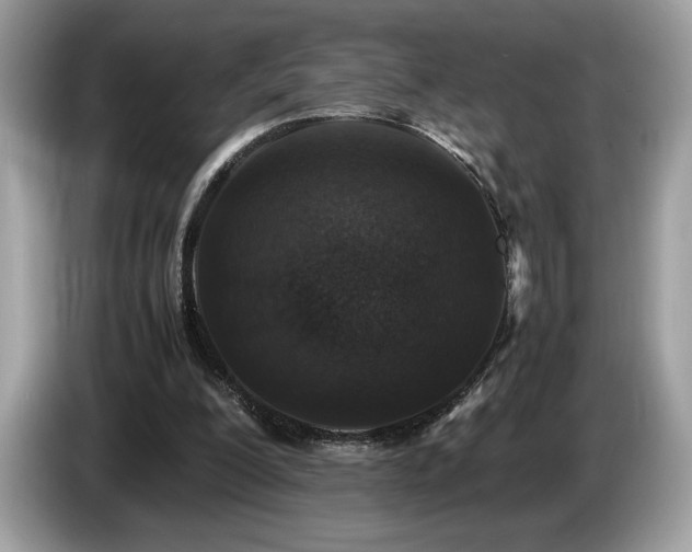 X0000087560200200704271232