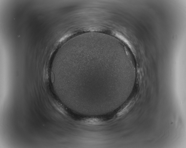 X0000087560203200704271232