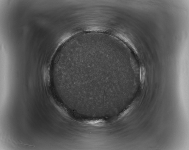 X0000087560204200704271232