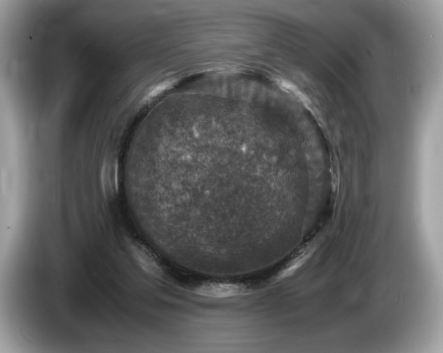X0000087560205200704271232