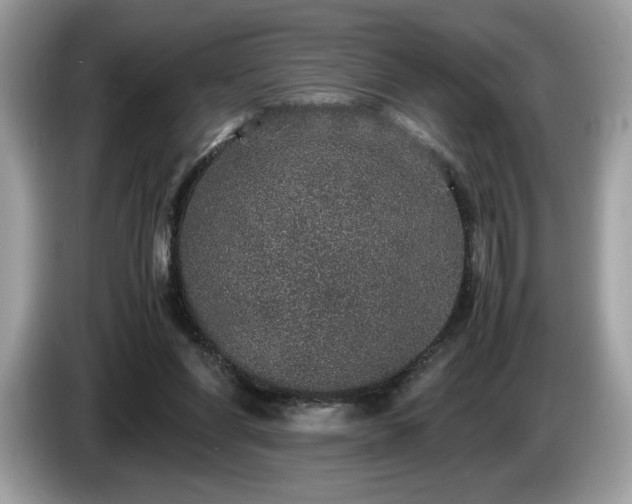 X0000087560206200704271232