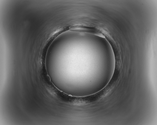 X0000087560207200704271232