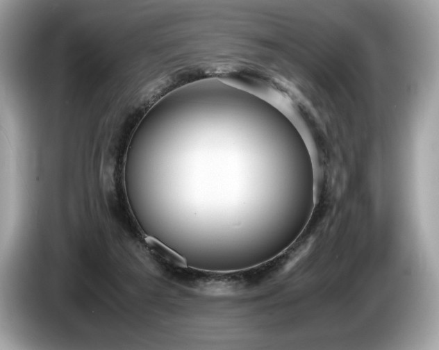 X0000087560209200704271232