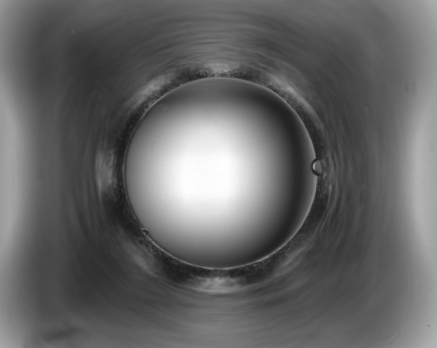 X0000087560212200704271232